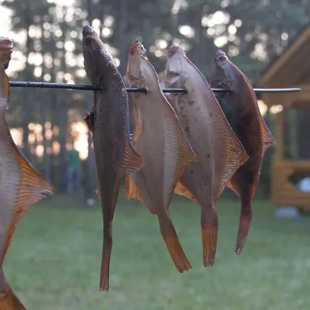 Nature Getaway Дом отдыха