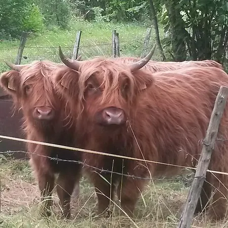 Nature Getaway Mujaste