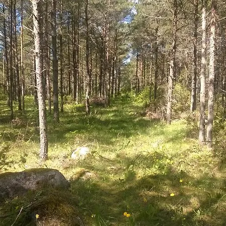 Nature Getaway Дом отдыха Mujaste