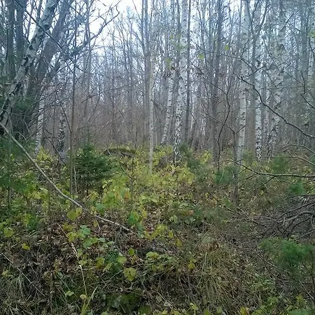 Nature Getaway Mujaste