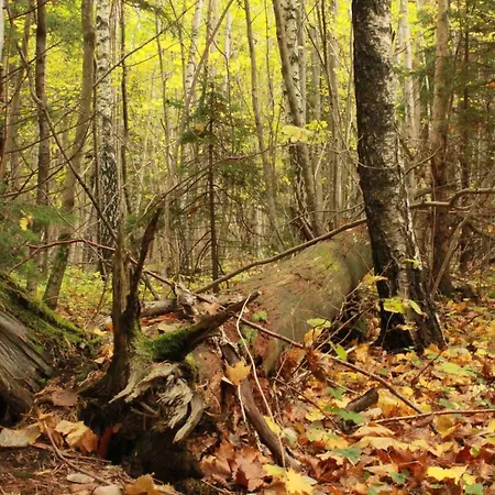 Дом отдыха Nature Getaway