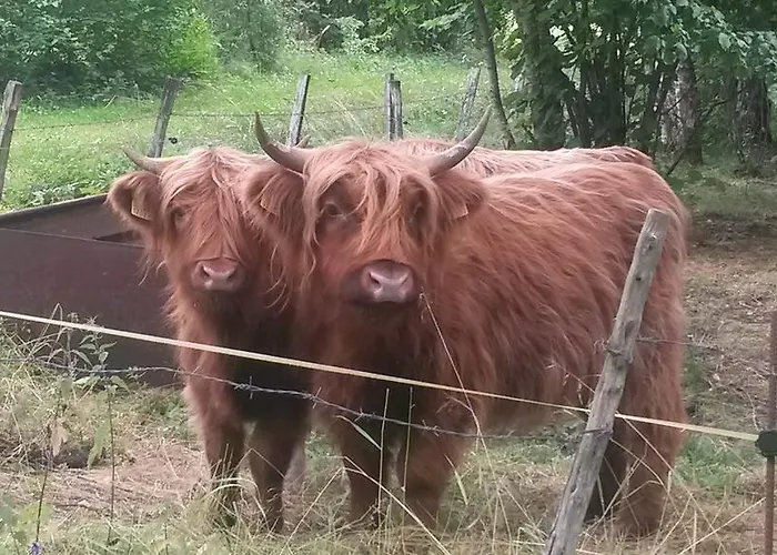 Nature Getaway Mujaste