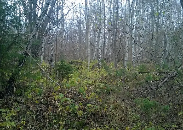 Nature Getaway Mujaste