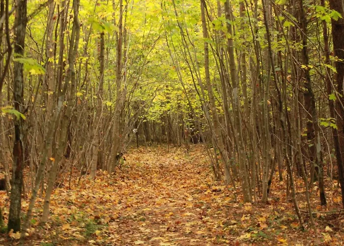 Nature Getaway Dom wakacyjny